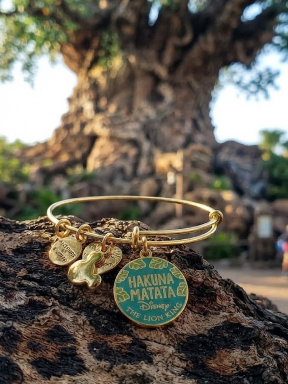 Disney x Alex & Ani Hakuna Matata Gold Charm Bangle Bracelet - The Lion King